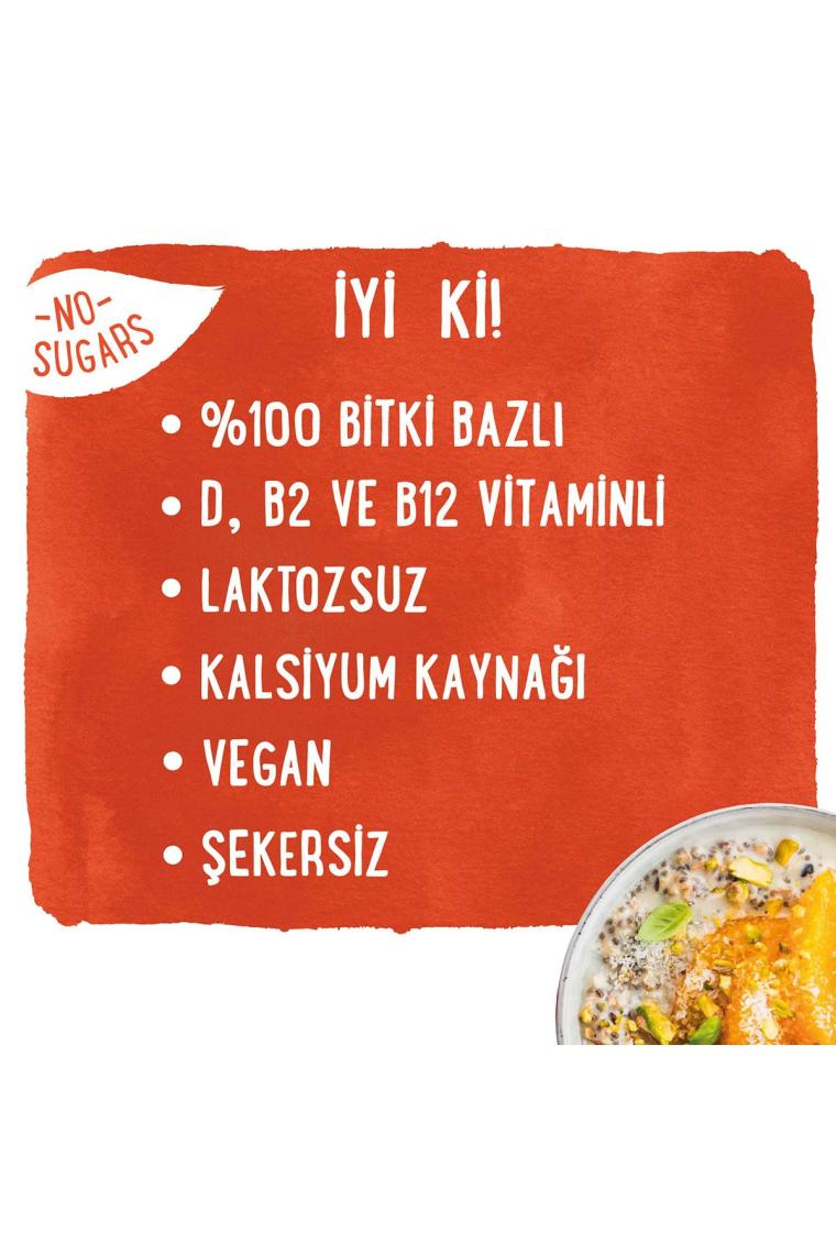 Alpro Şekersiz Hindistan Cevizi Sütü 1 lt