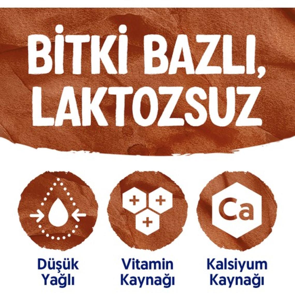 Alpro Çikolata Aromalı Hindistan Cevizli İçecek 1L