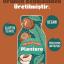 Plantero Fındık Sütü Bazı Konsantre (250gr,  Fındık, Şekersiz) 00003