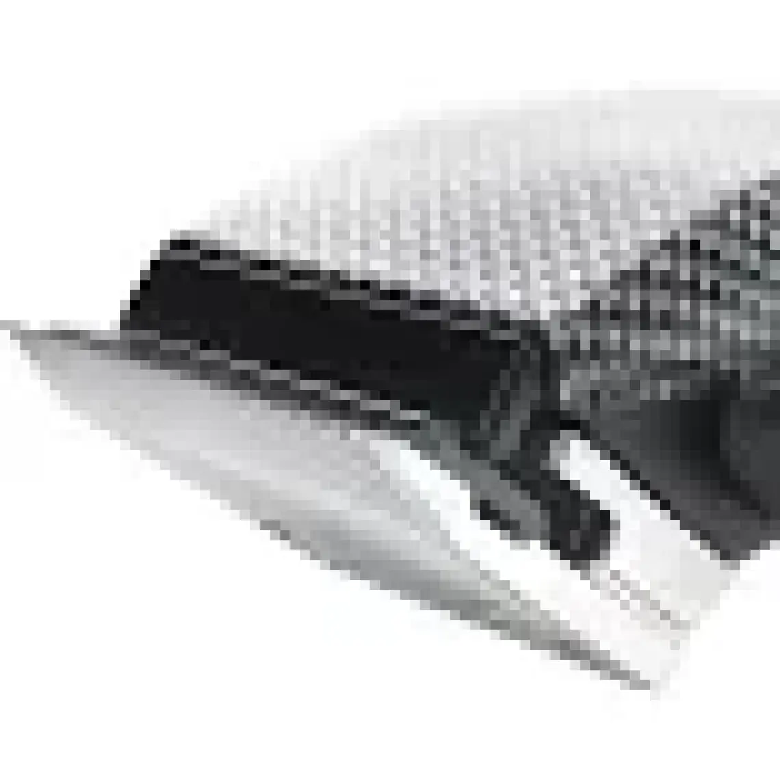 Jaguar Cm 2000 Professıonal Sac Kesme Makınesı