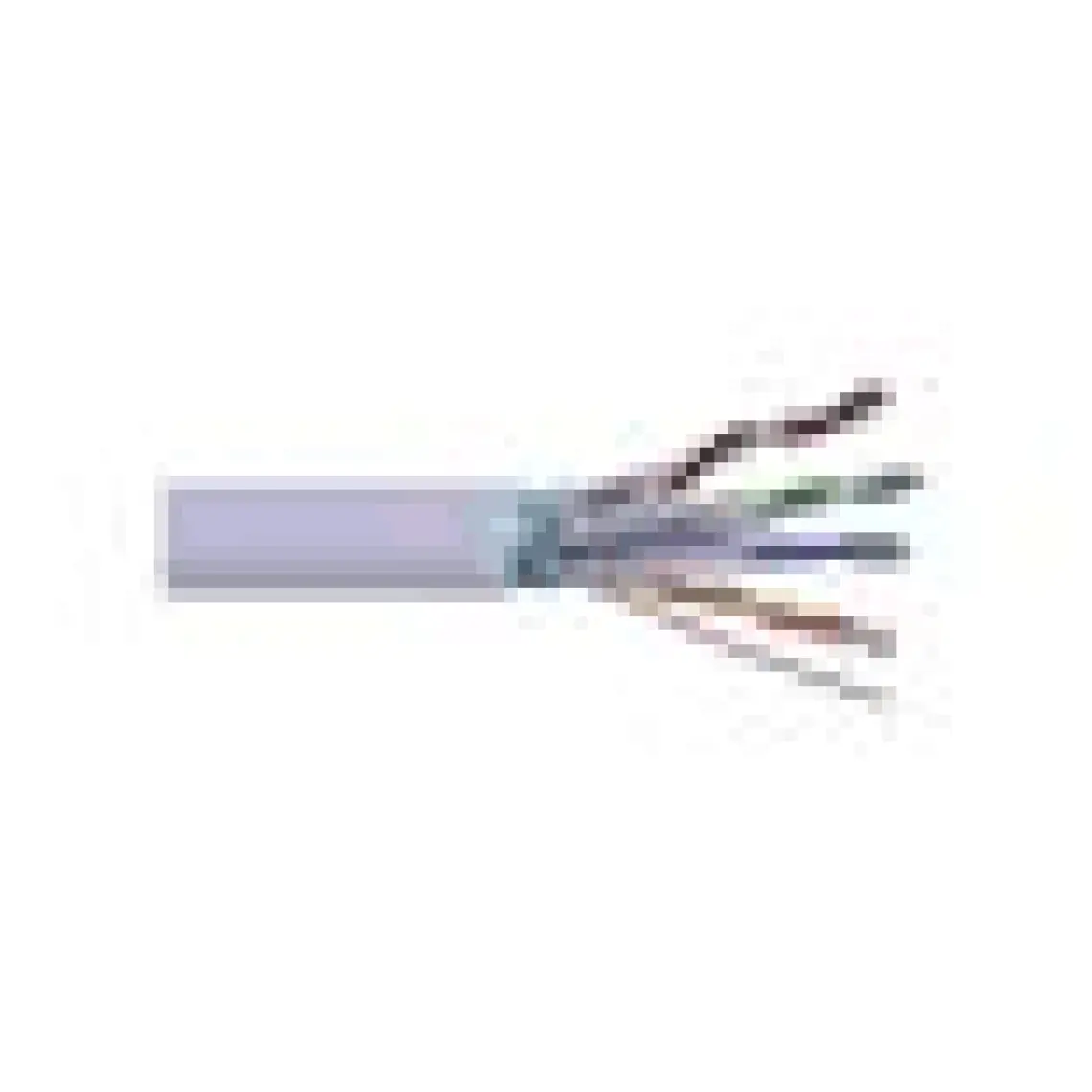Powermaster Cat5 Ethernet Kablosu 50 mt
