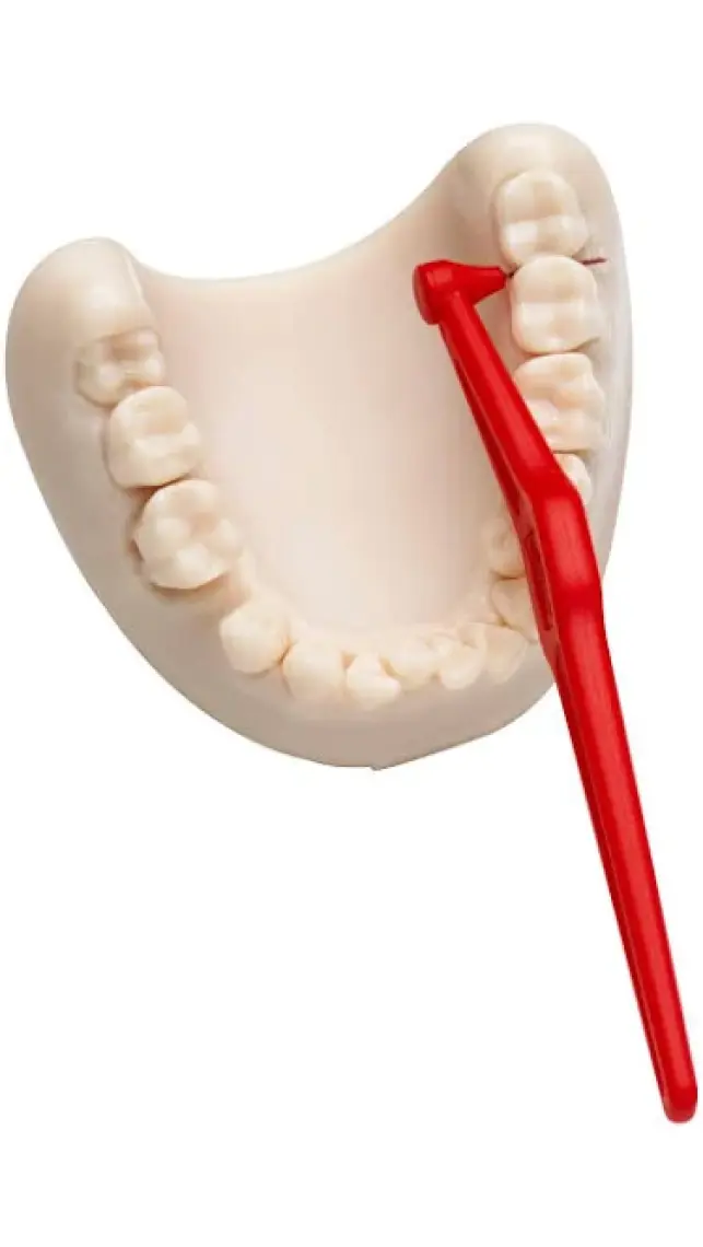 Tepe Angle Saplı Arayüz Fırçası Kırmızı 0,5 Mm 6 Lı