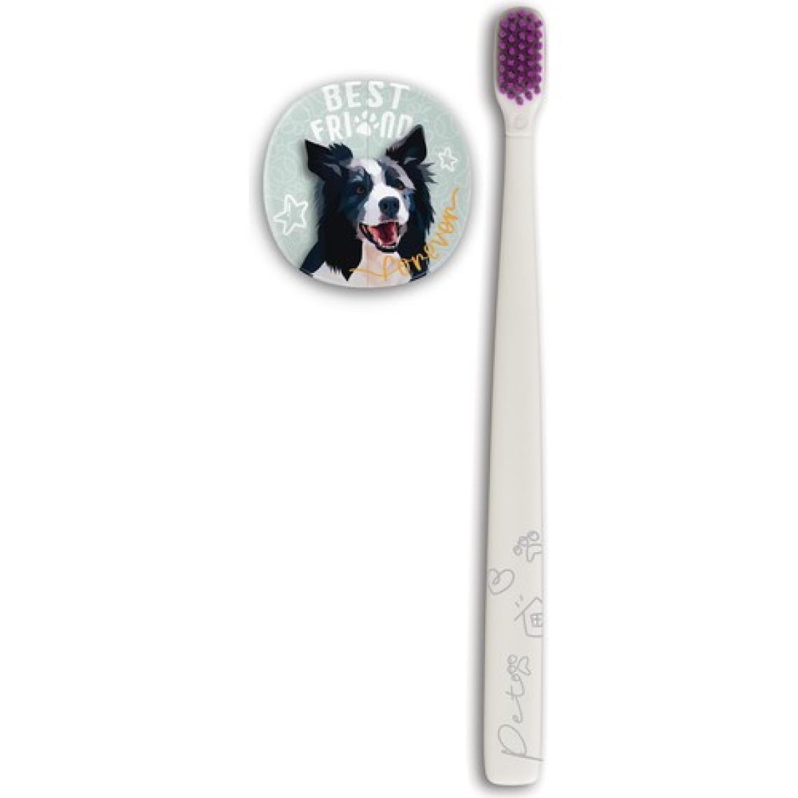 Flipper Pets Hijyenik Saklama Kabı ve Yetişkin Diş Fırçası Seti Border Collie