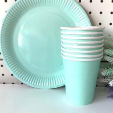 Yeşil Makaron Pastel Karton Tabak Bardak Set 8 Li