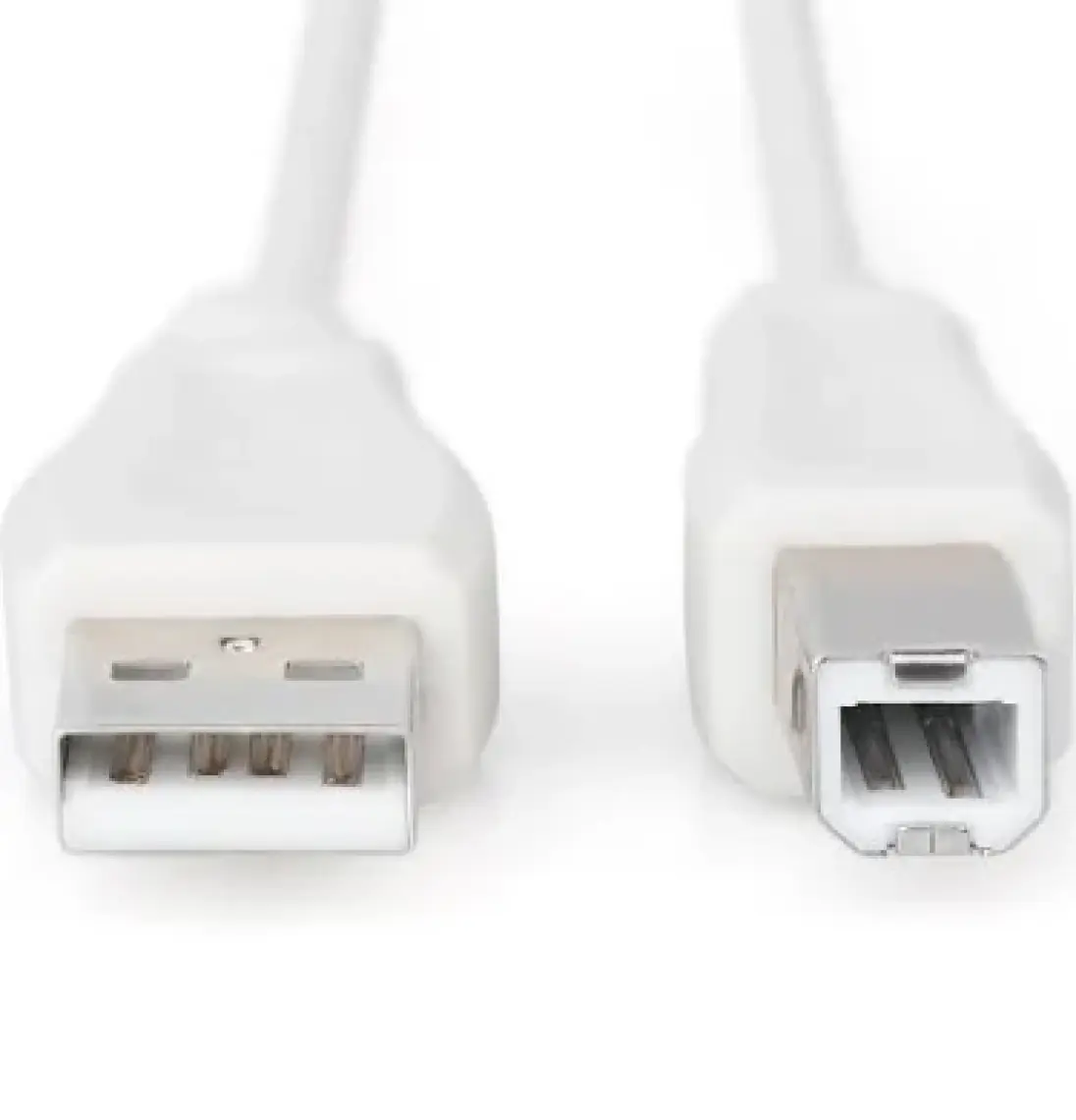 Assmann AK-300102-030-E USB 2.0 3mt Yazıcı Kablosu White