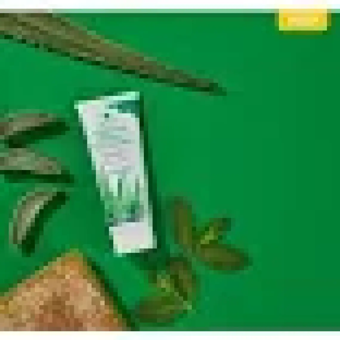Forever Living Forever Bright Diş Macunu