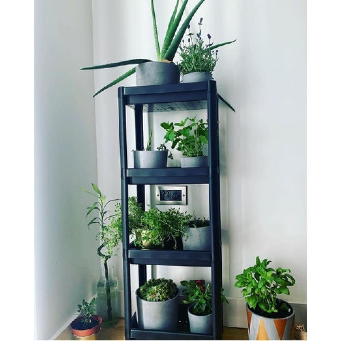 Frapan Home 4 Katlı Plastik Raf Ünitesi Mutfak Rafı Banyo Rafı Banyo Düzenleyici Organizer