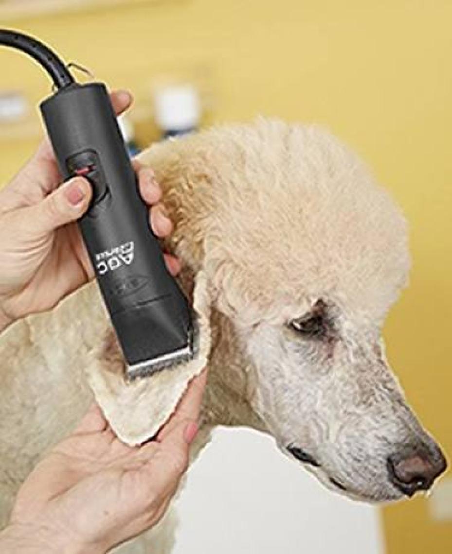 Andis Agc 2 Devirli Köpek Traş Makinası