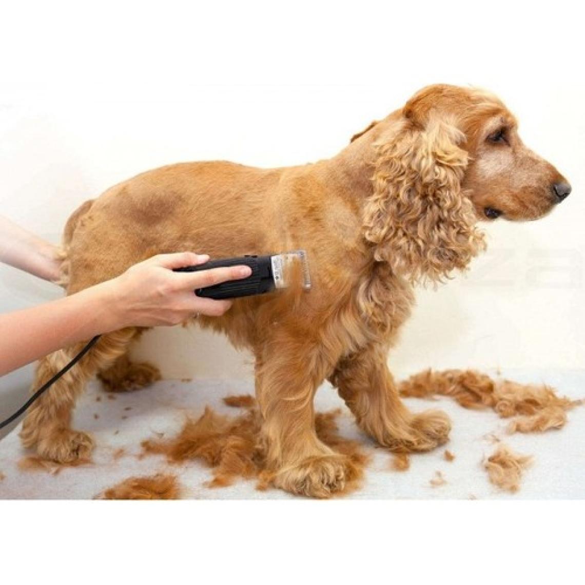 Gemei Kedi Köpek Traş Makinası