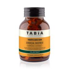 Tabia Zerdeçal Ekstresi 1000mg 60 Kapsül