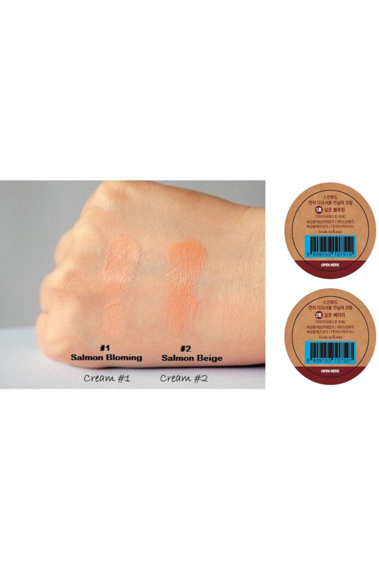 Skinfood Salmon Concealer 01 Kapatıcı Krem