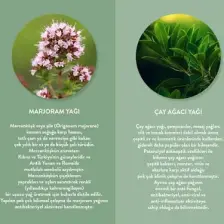 Thalia & Sıkılaştırmaya Yüz Bakım Maskesi 15 ml Mercan Köşk (Marjor