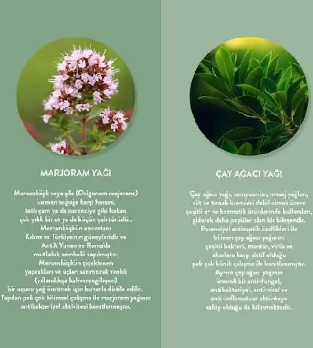 Thalia & Sıkılaştırmaya Yüz Bakım Maskesi 15 ml Mercan Köşk (Marjor