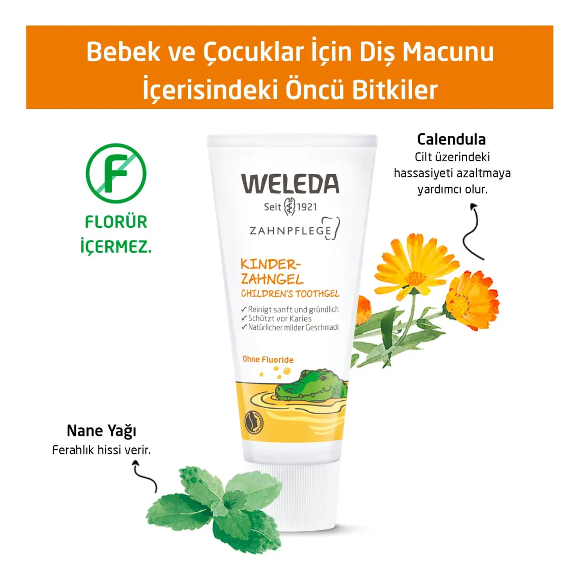 Weleda Bebek ve Çocuklar için Organik Diş Macunu 50ml