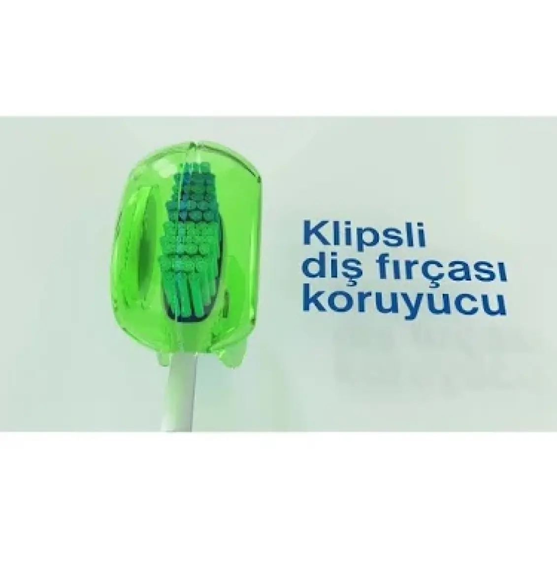 Steriball Diş Fırçası Koruma Kabı - Turkuaz