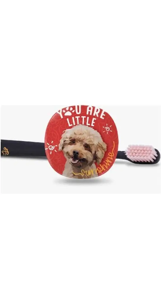 R.O.C.S. Flipper Pets Hijyenik Saklama Kabı ve Yetişkin Diş Fırçası Seti (Köpek)