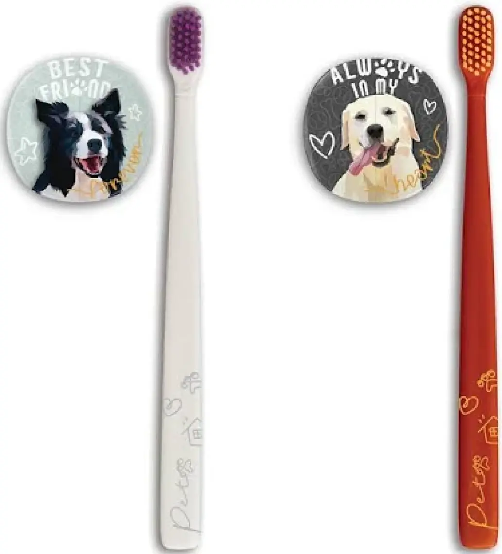 R.O.C.S. Flipper Pets Hijyenik Saklama Kabı ve Yetişkin Diş Fırçası Seti (Köpek)