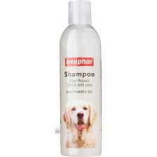 Beaphar Macedemia Özlü Kıtık Çözücü Köpek Şampuanı 250ml