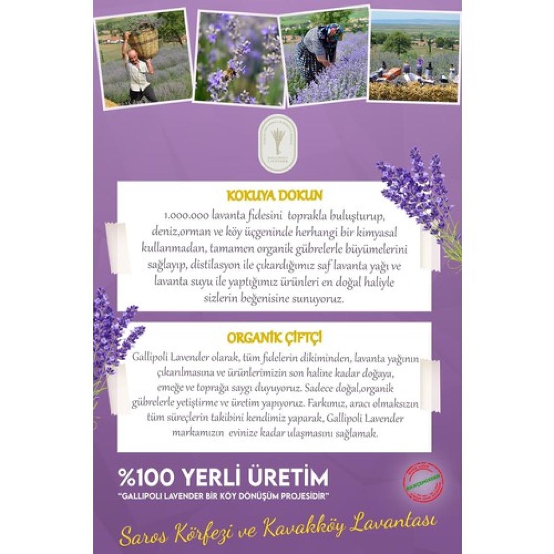 Dr. Lavender Kene Pire Önleyici Köpek Şampuanı 400 ml Pet Şampuanı + 45 ml Lavanta Konolyası