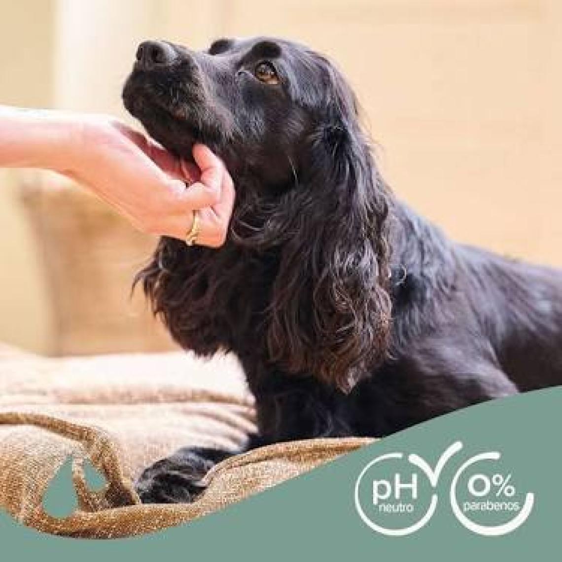 Beaphar Aloe Vera Black Siyah Tüylü Köpekler İçin Şampuan 250 Ml