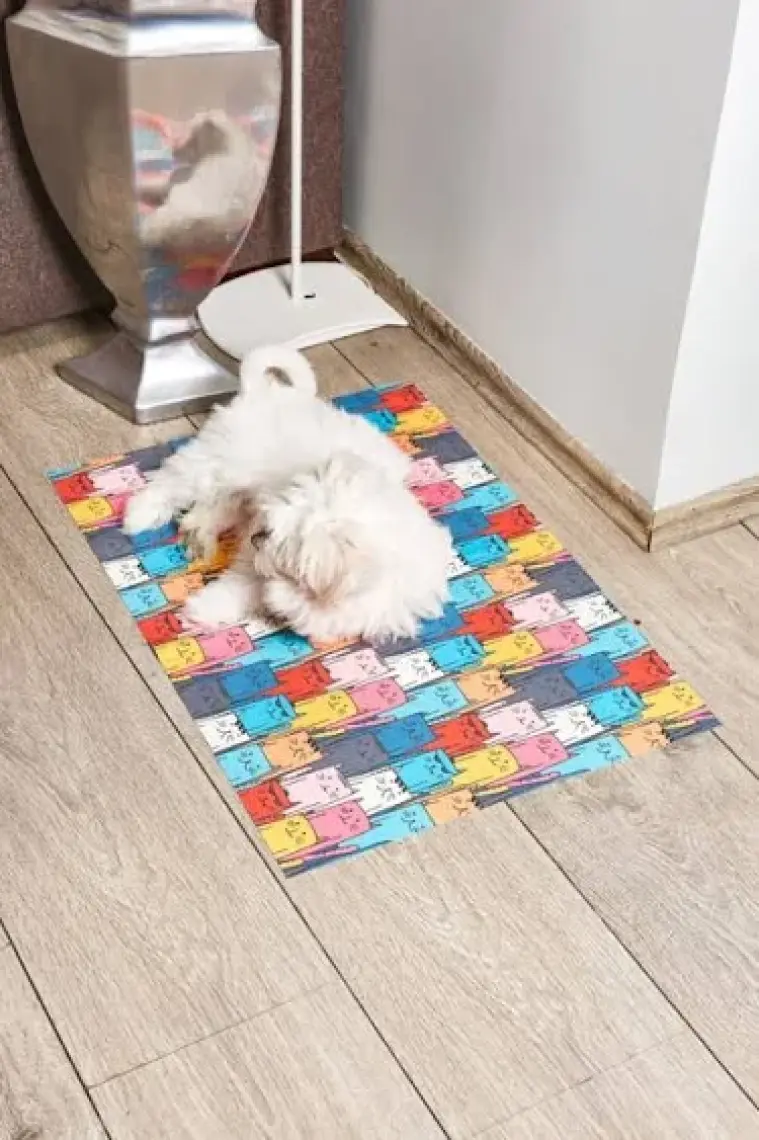 Asterion Kedi Desen Baskılı Pet Havlu Ve Matı Köpek - Kedi Kurulama Ve Alt Örtüsü - 50 X 70 Cm