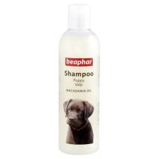 Beaphar Puppy Macadamia Yavru Köpek Şampuanı 250Ml