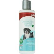 Bioline Kedi ve Köpek İçin Dış Parazit Uzaklaştırıcı Şampuan 200 Ml