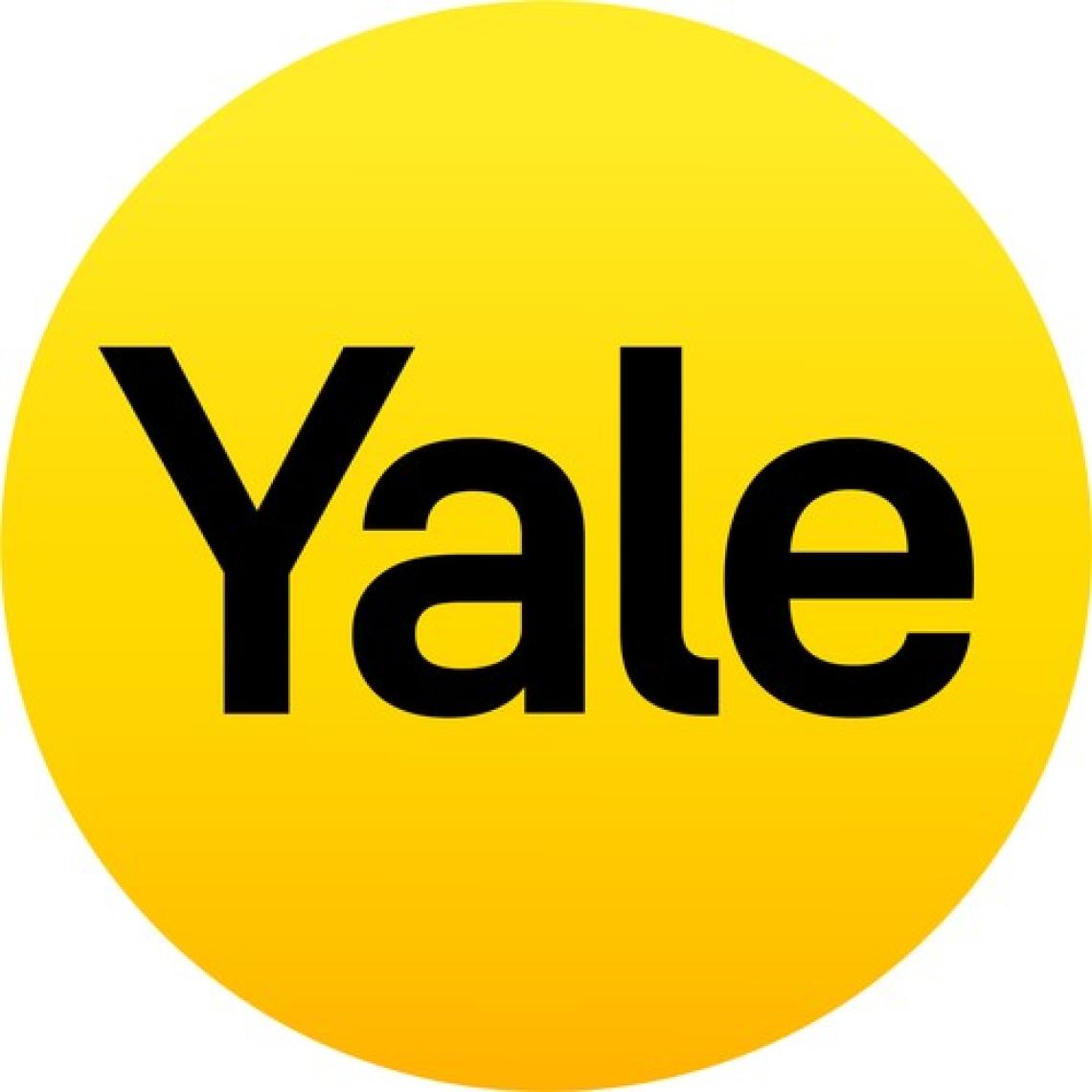 Yale 40 mm Pirinç Şifreli Asma Kilit 4 Şifreli Y150B-40-130-1
