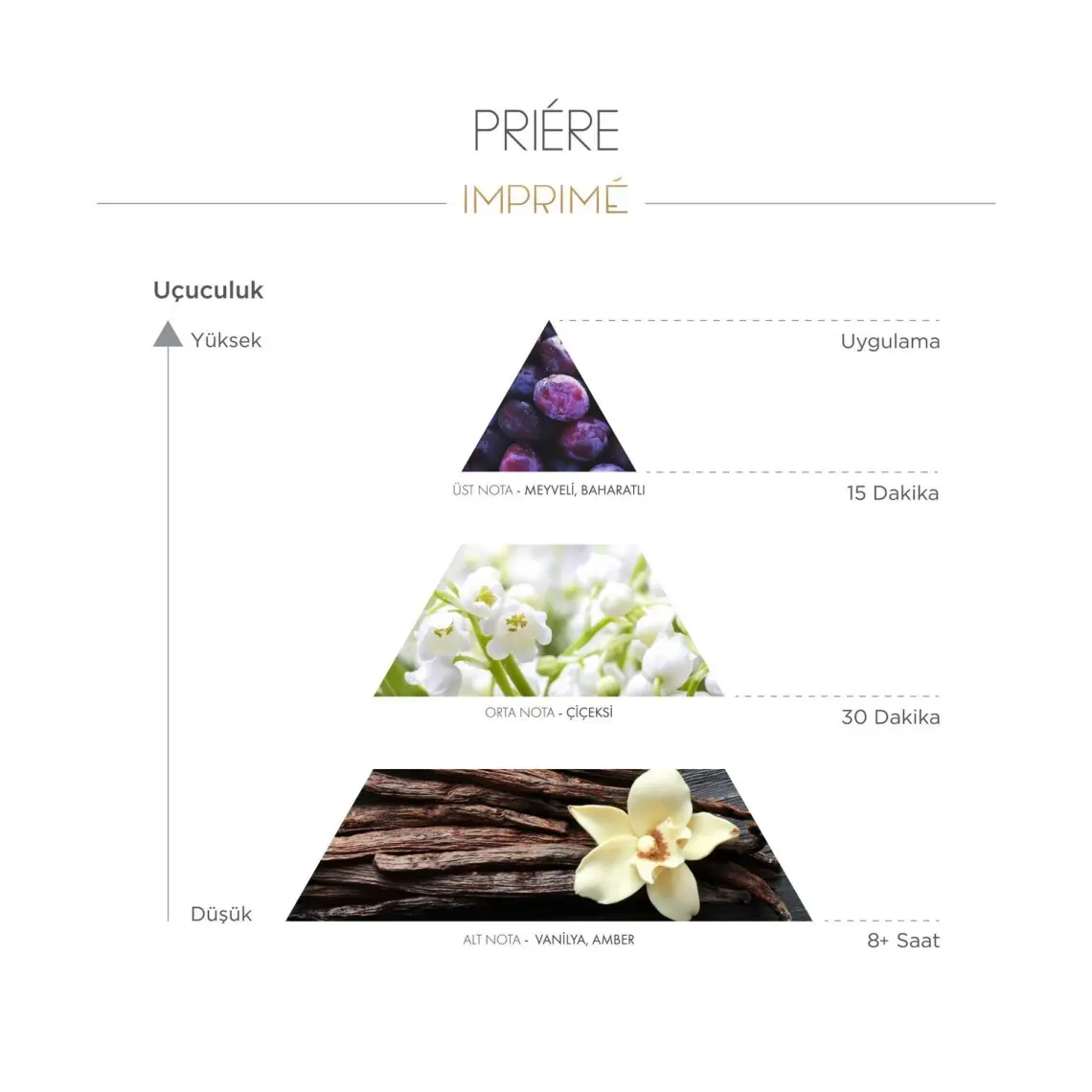 Imprimé 5'li Kadın Parfüm Seti (Muse 50 ml +Priére 50 ml + Cherié 50 ml +Interne 50 ml + Flâner 50 Ml)