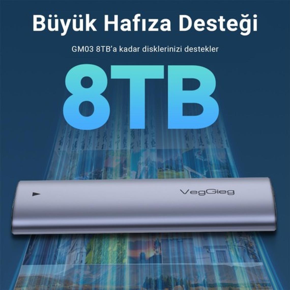 VegGieg 10GBPS USB 3.1 Gen2 M.2 Sata Ngff Nvme SSD Disk Kutusu