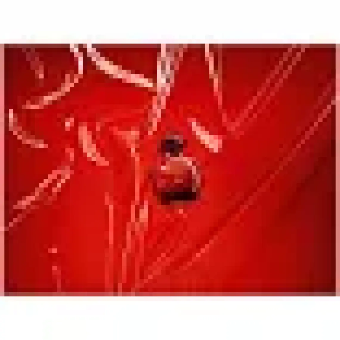 Dior Hypnotic Poison Edt 100 Ml Kadın Parfüm