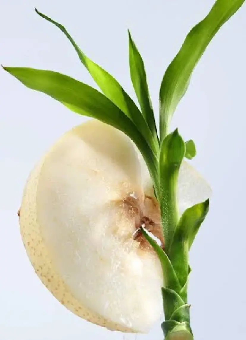 Bvlgari Omnia Crystalline Edt 100 Ml