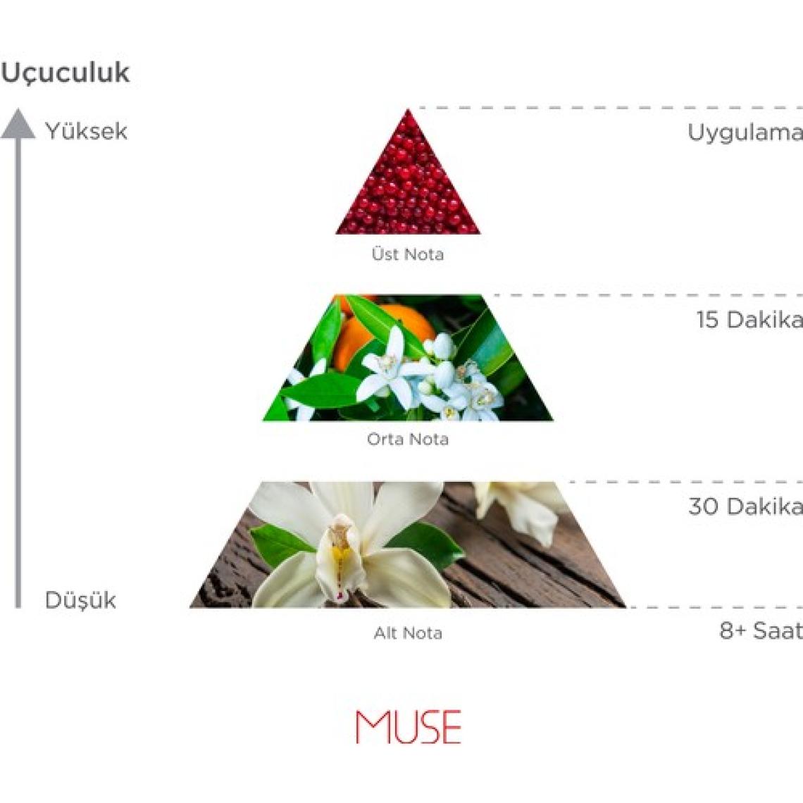 Imprime Muse EDP Kadın Parfüm, Çiçeksi-Meyveli, Frenk Üzümü, Lavanta, Yasemin, Vanilya, Misk, Amber,  50ml