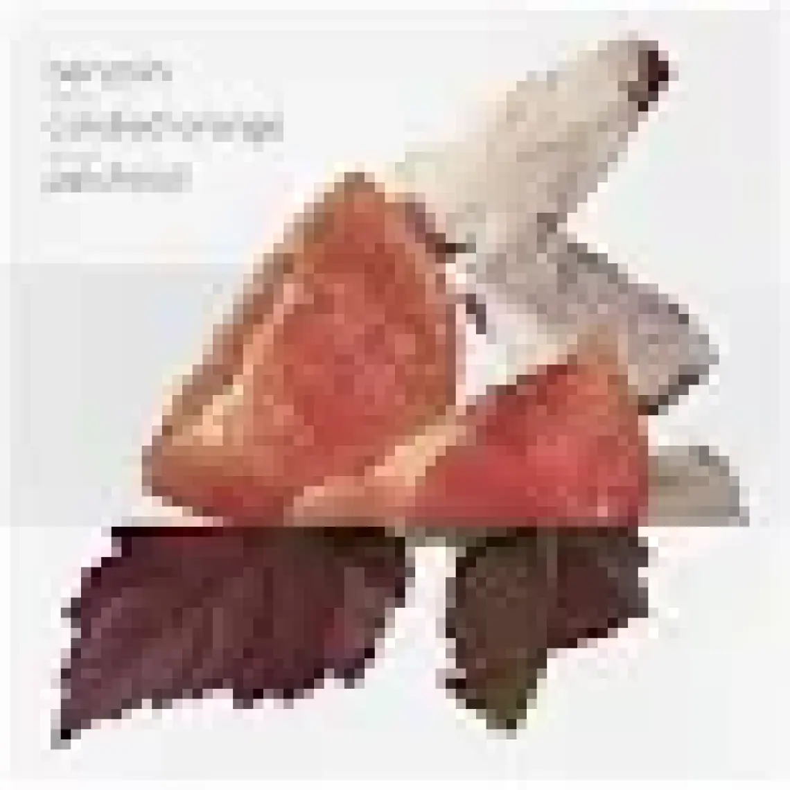 Hermes Elixir Des Merveilles Edp 100 Ml Kadın Parfümü