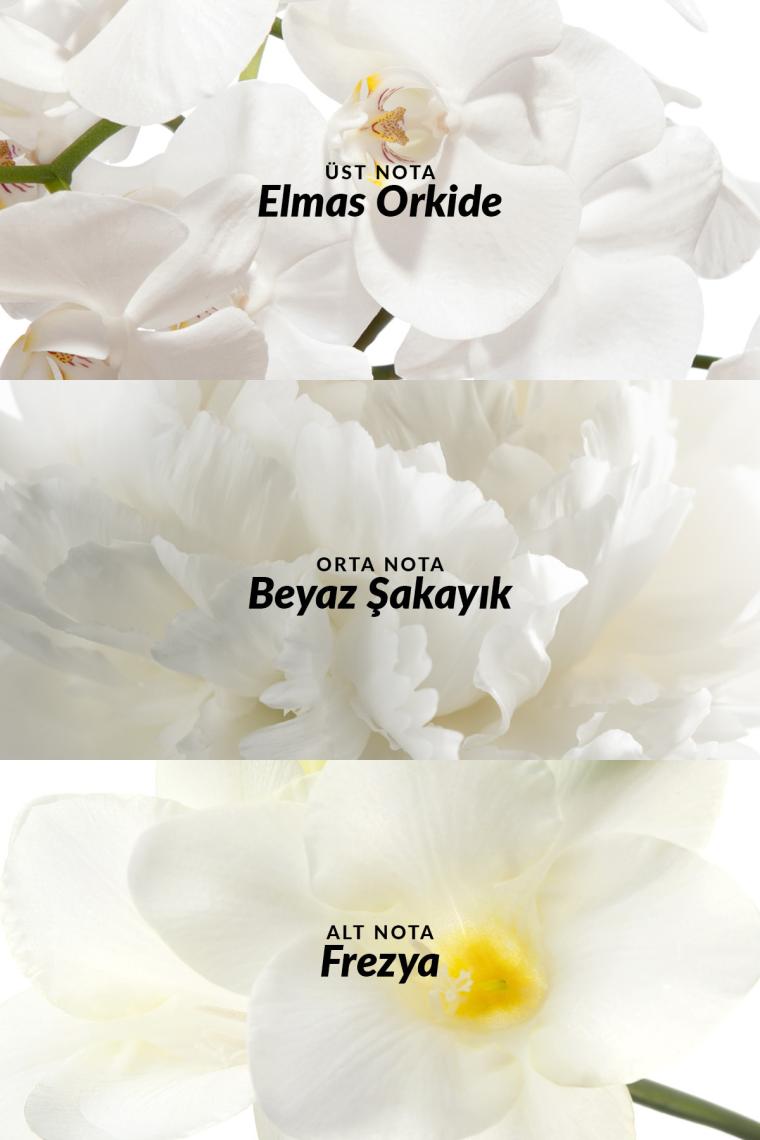 Avon Incandessence EDP 50 ml Kadın Parfüm