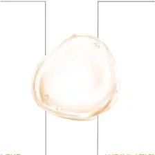 Derminix Kolajen + C Vitamini Serum 30 ML