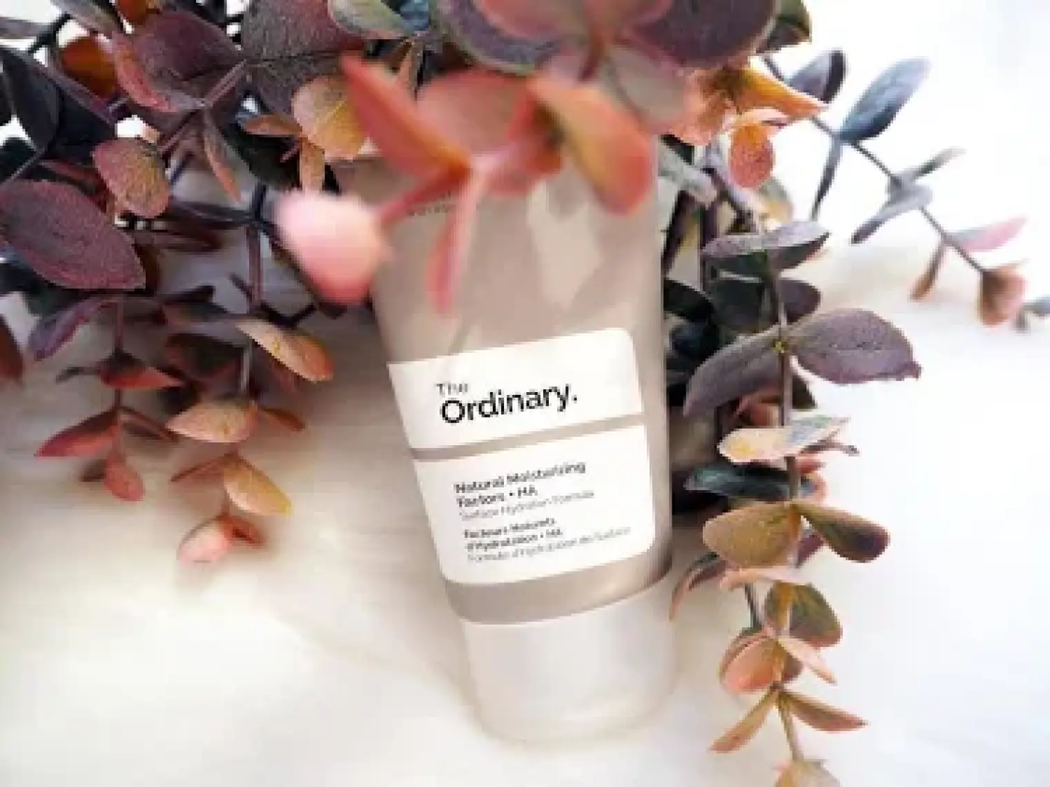 The Ordinary Natural Moisturizing Factors + Ha 30ML