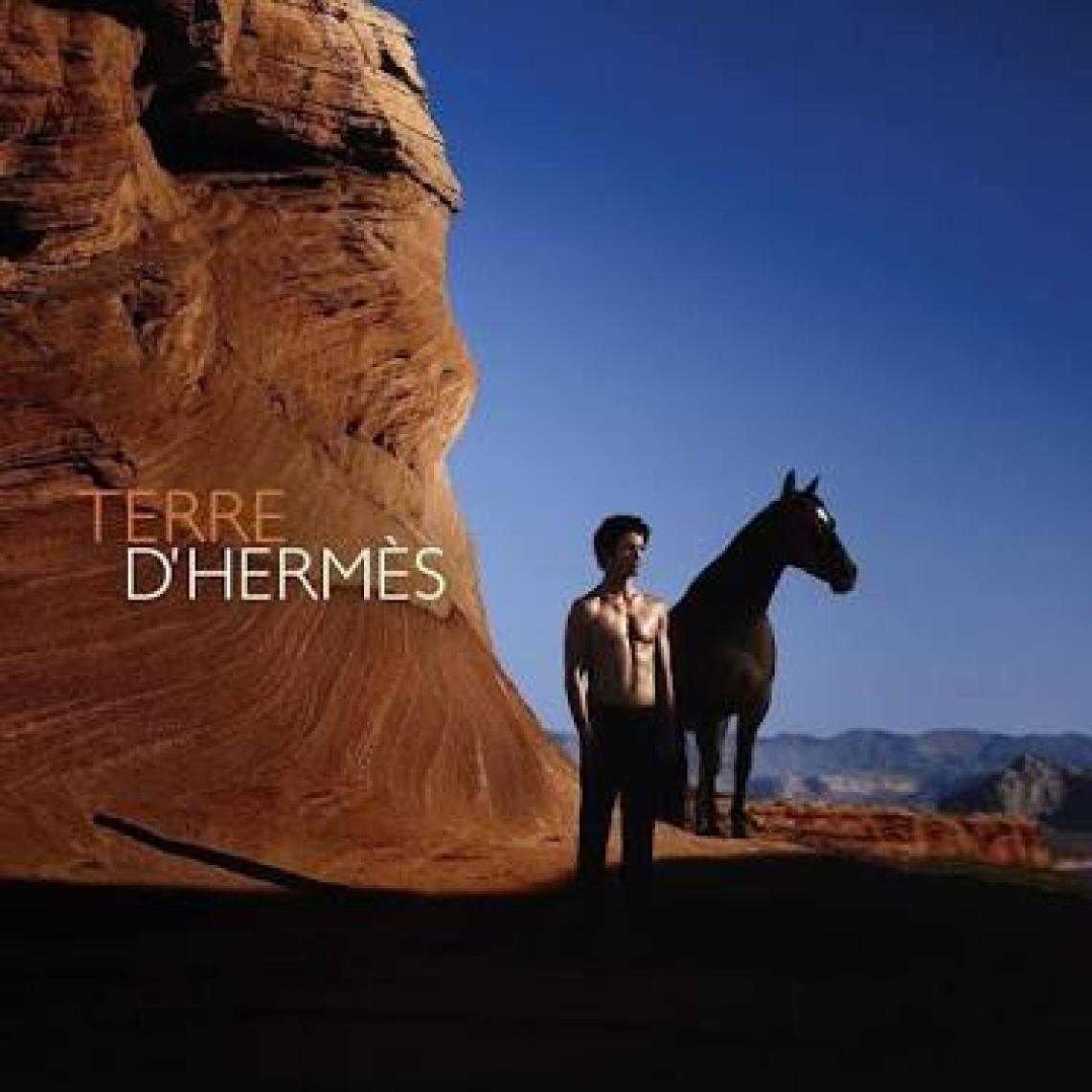 Hermes Terre D'Hermes Edt 200 ml Erkek Parfümü