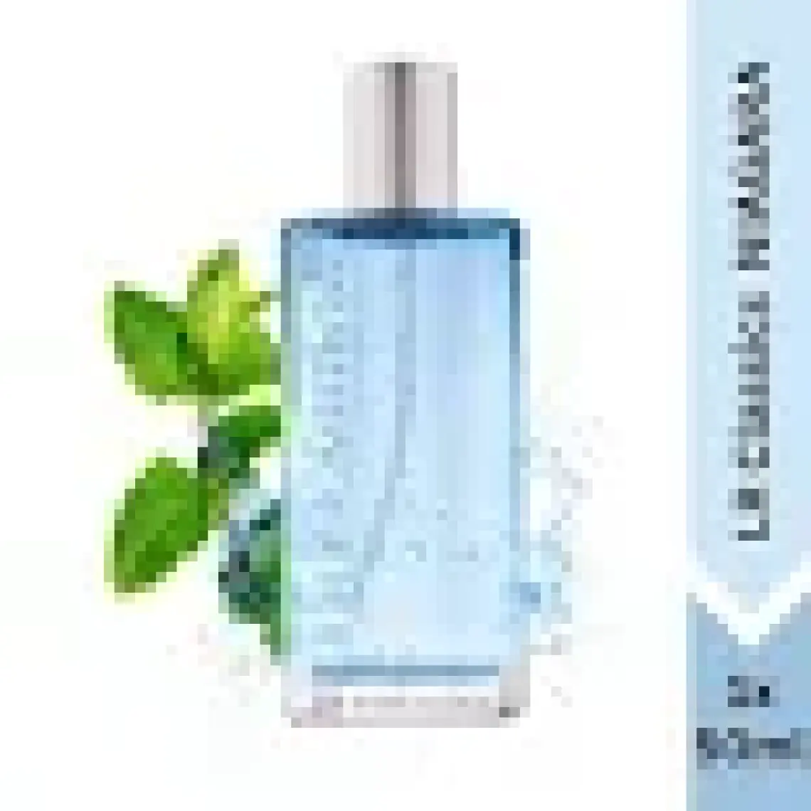 Lr Classics Niagara Erkek Parfüm Edp 50 Ml