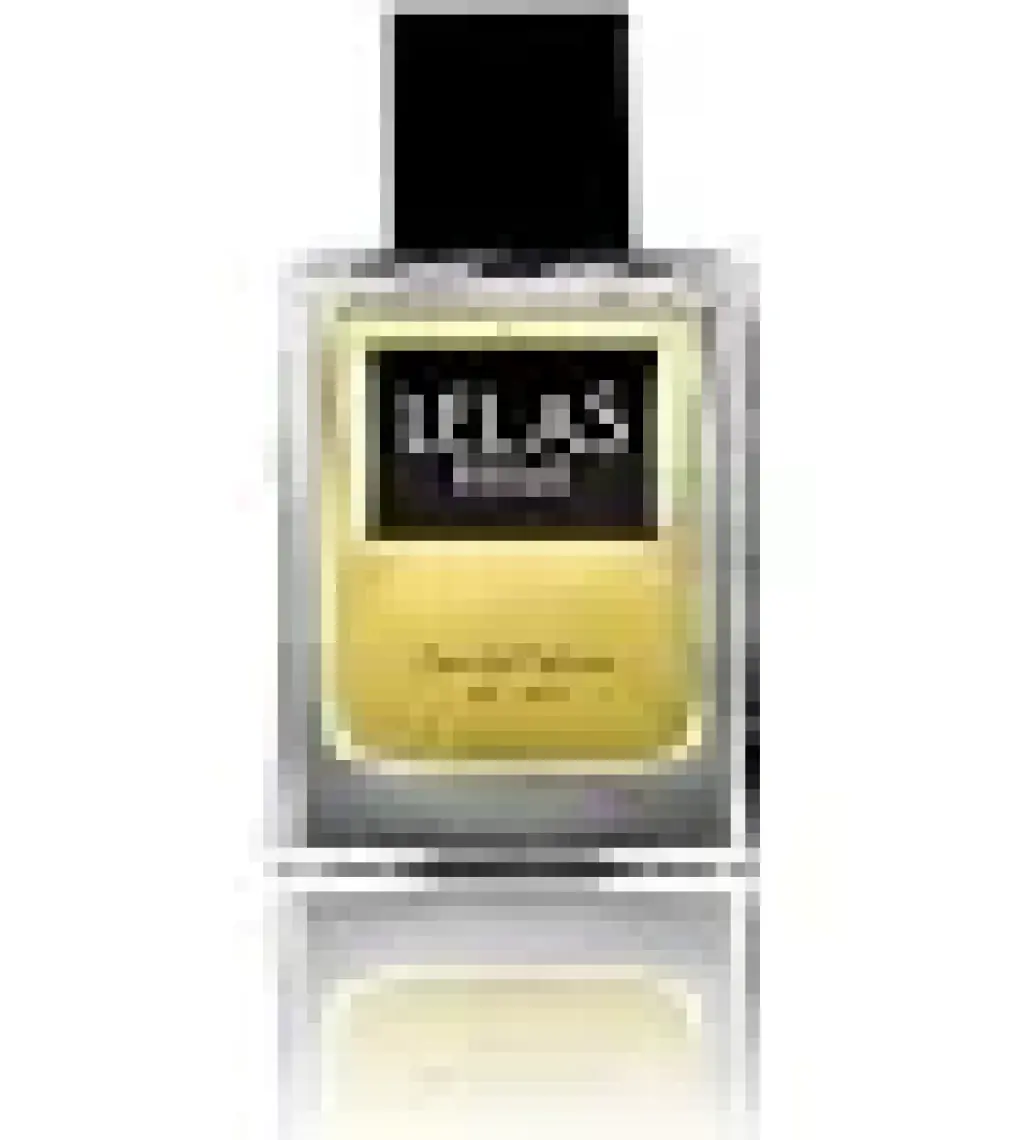 Lelas Prime 183 Fancy Fance 55 ML EDP – Aromatik Erkek Parfümü