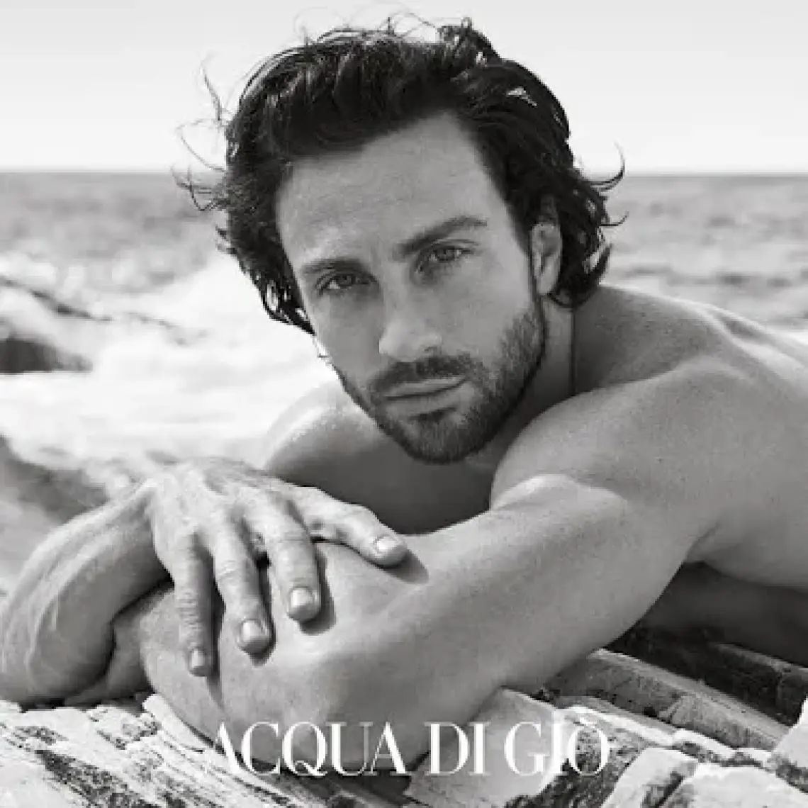 Giorgio Armani Acqua Dı Gıo Homme Parfum 100ml