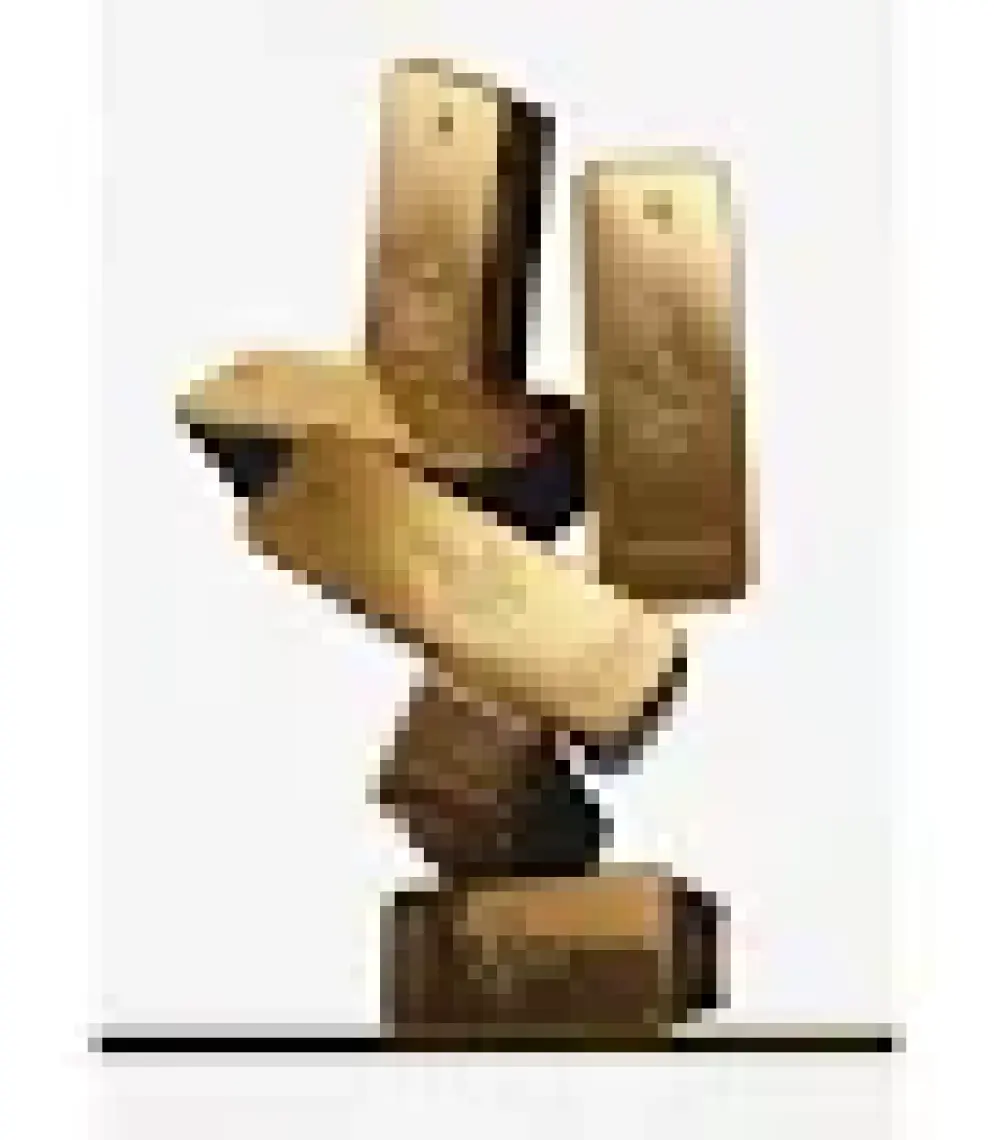 Paco Rabanne 1 Million Edt 50 ml Erkek Parfümü