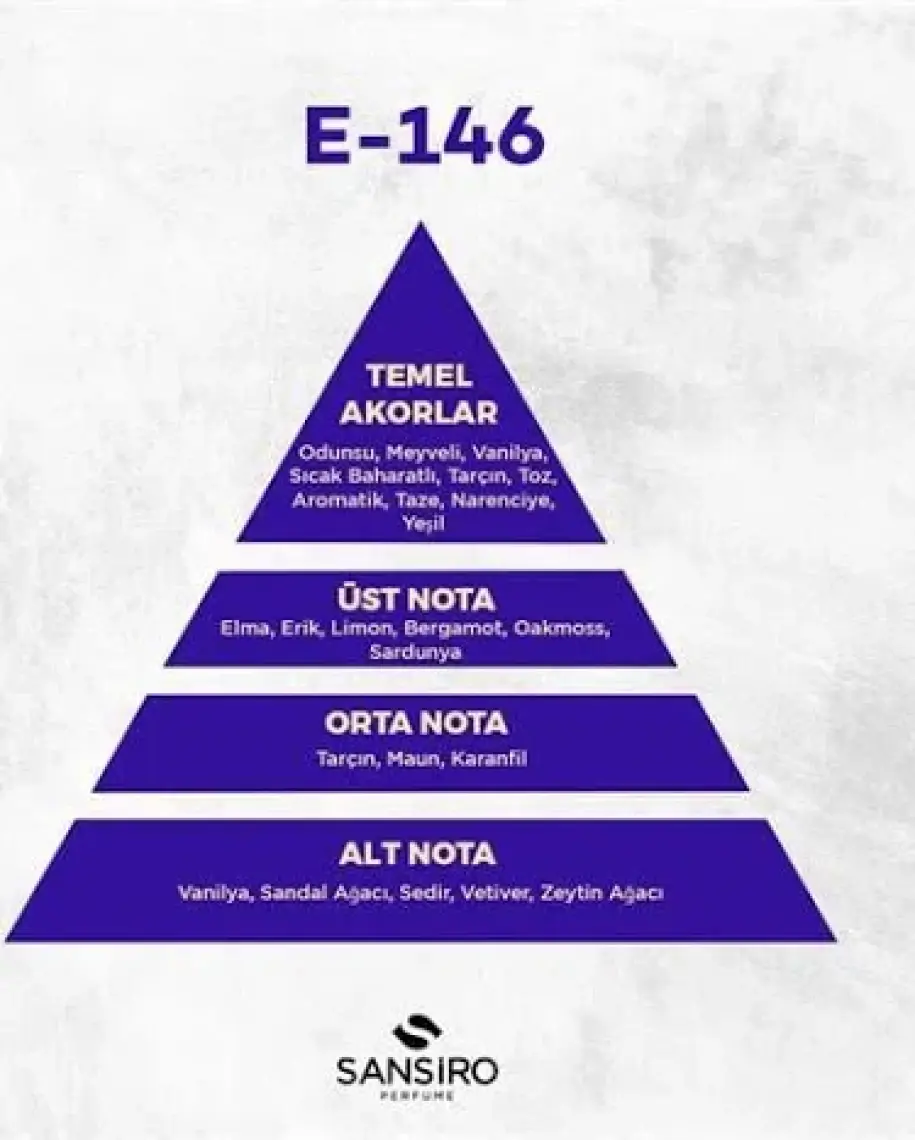 Sansiro E-146 Erkek Parfüm 100ml Edp
