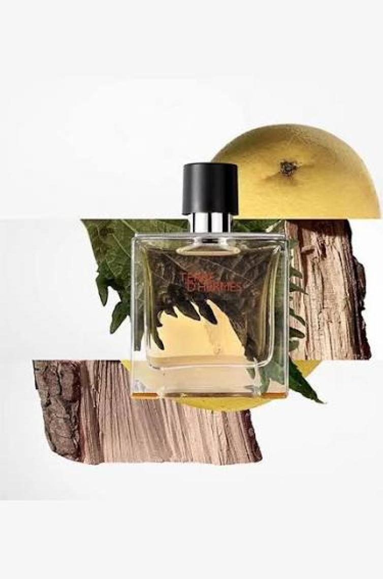 Hermes Terre D‘hermes Parfum EDP Erkek Parfüm 200 ml