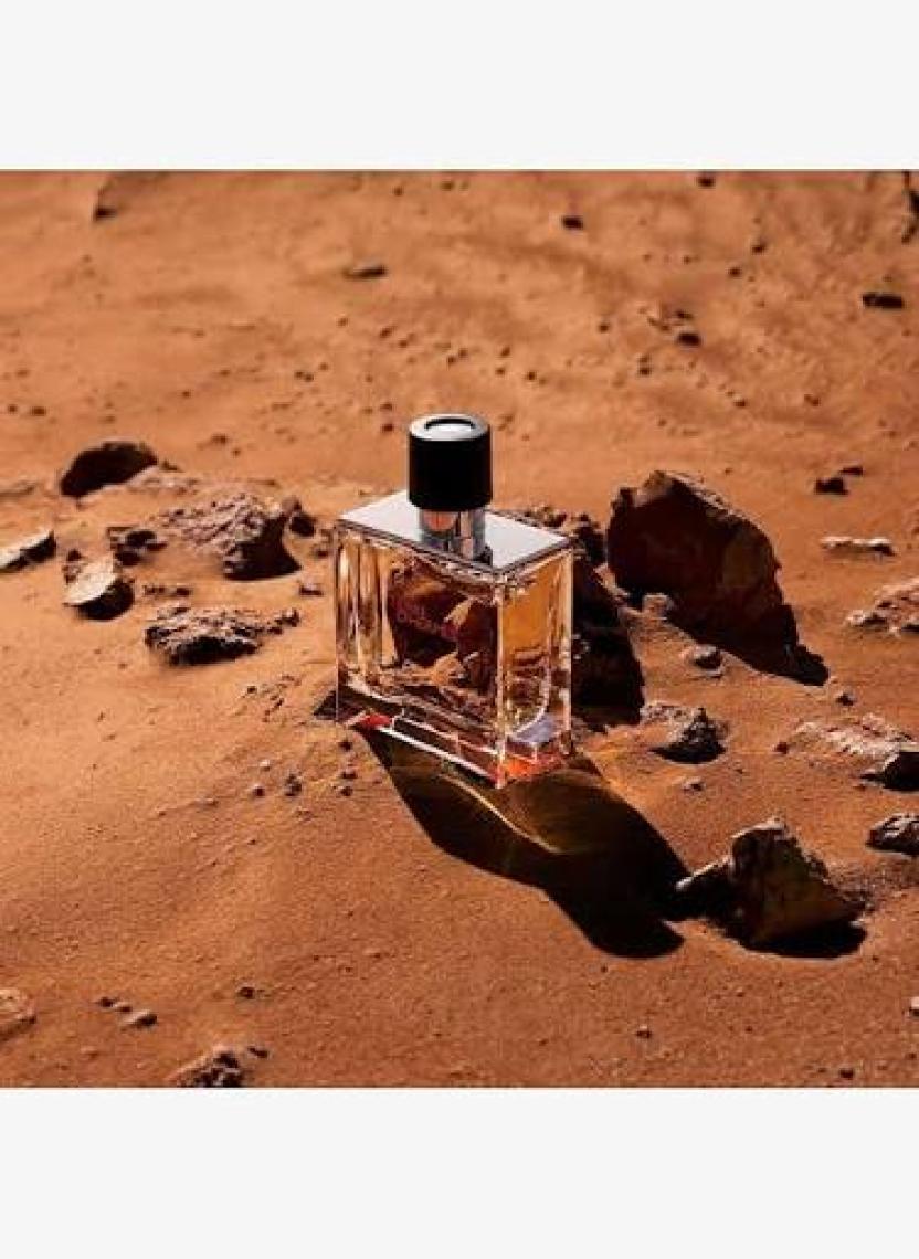 Hermes Terre D‘hermes Parfum EDP Erkek Parfüm 200 ml