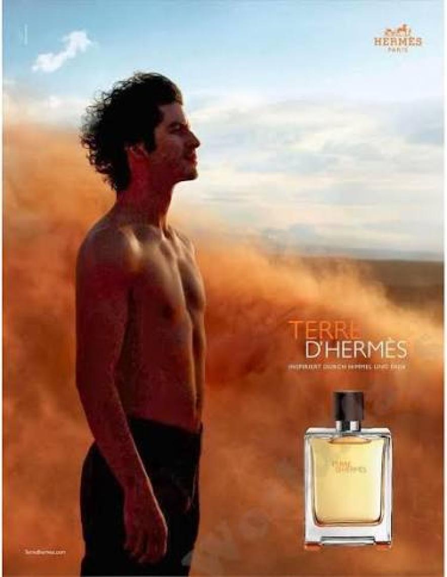 Hermes Terre D‘hermes Parfum EDP Erkek Parfüm 200 ml