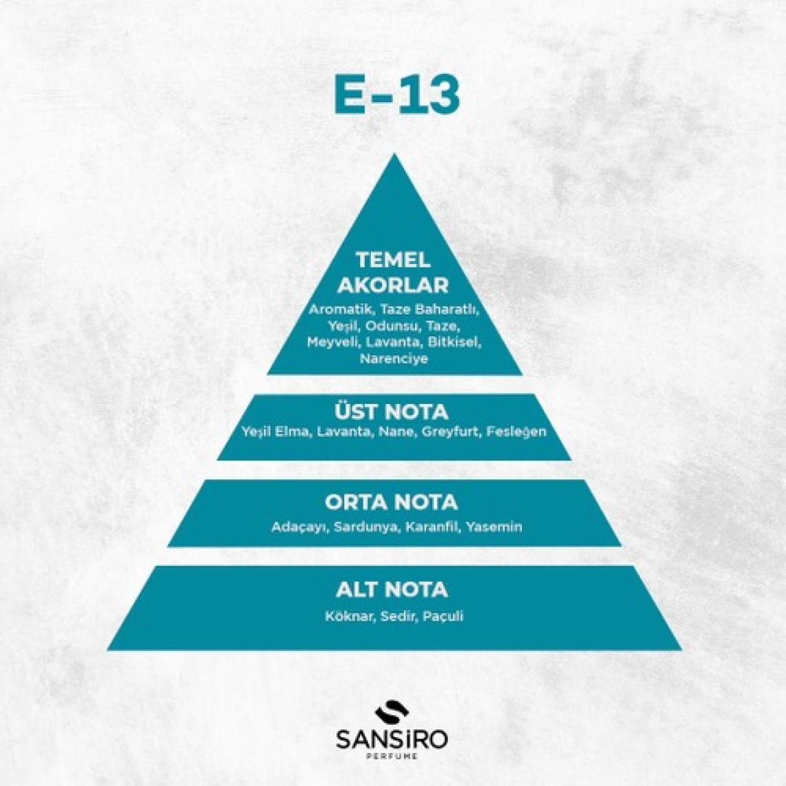 Sansiro E-13 Erkek Parfüm 50ML Edp