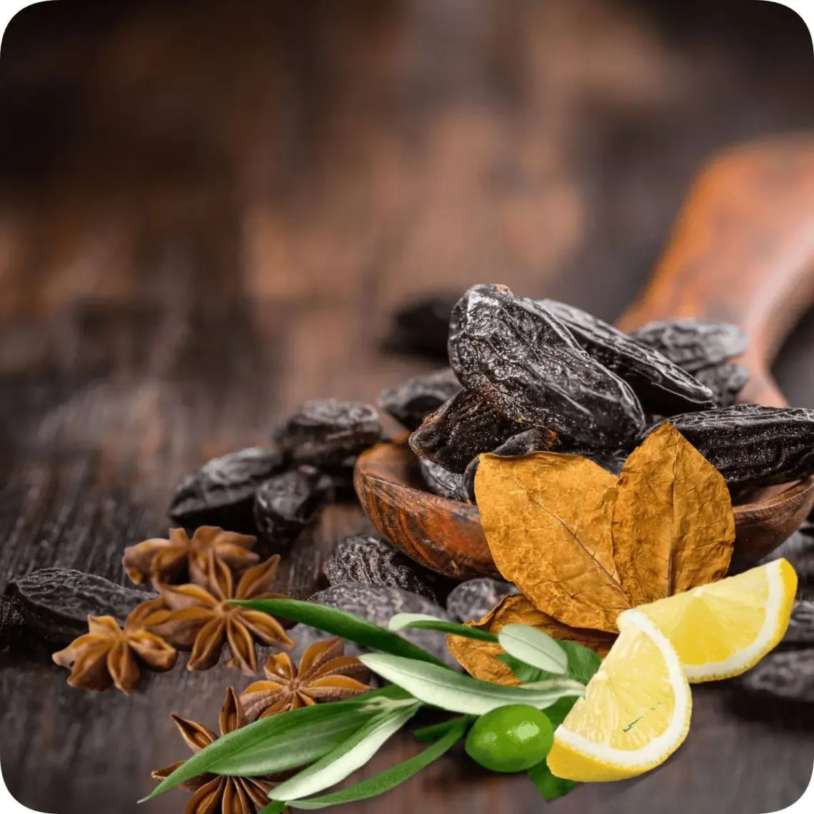 Sansiro E-70 Erkek Parfüm 100ml Edp