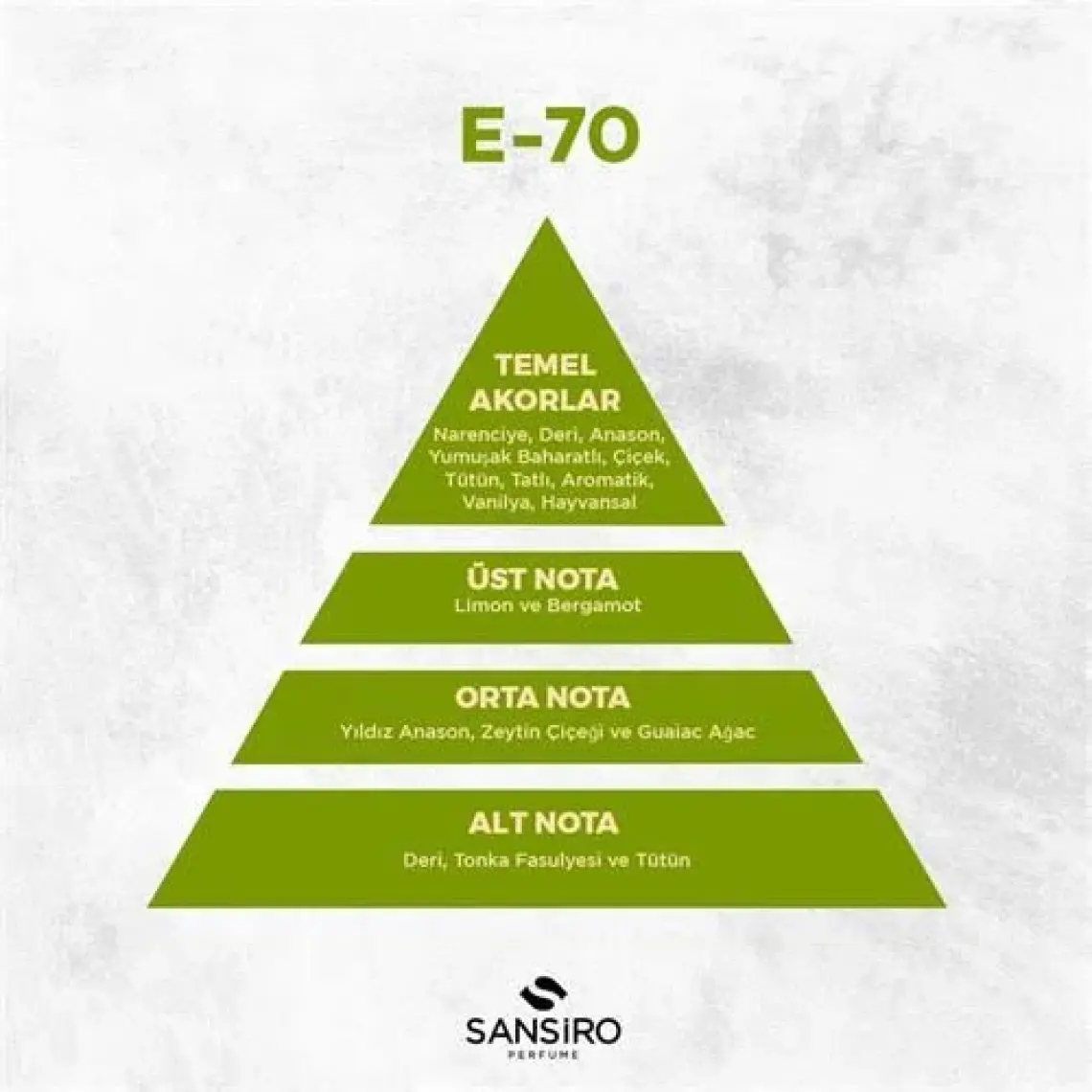 Sansiro E-70 Erkek Parfüm 100ml Edp