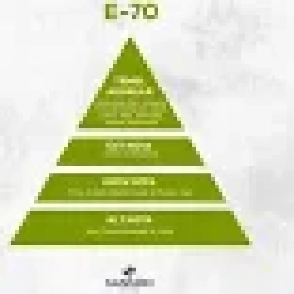 Sansiro E-70 Erkek Parfüm 100ml Edp